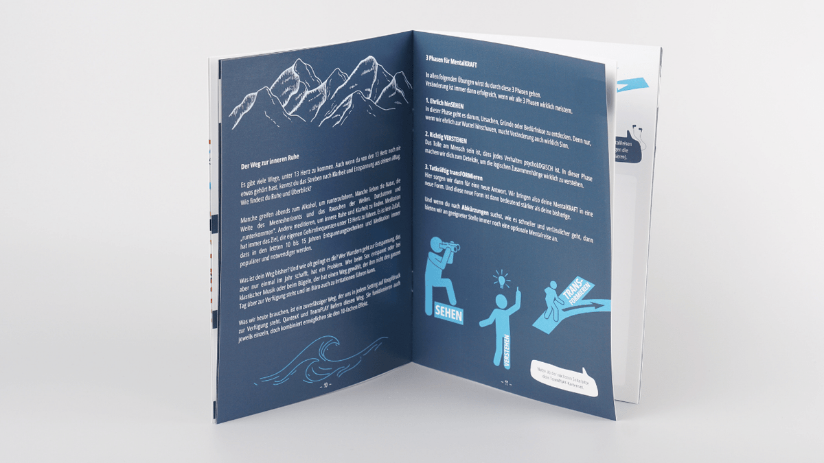 Playbook - MentalKRAFT stärken - Mr. Transformation Shop