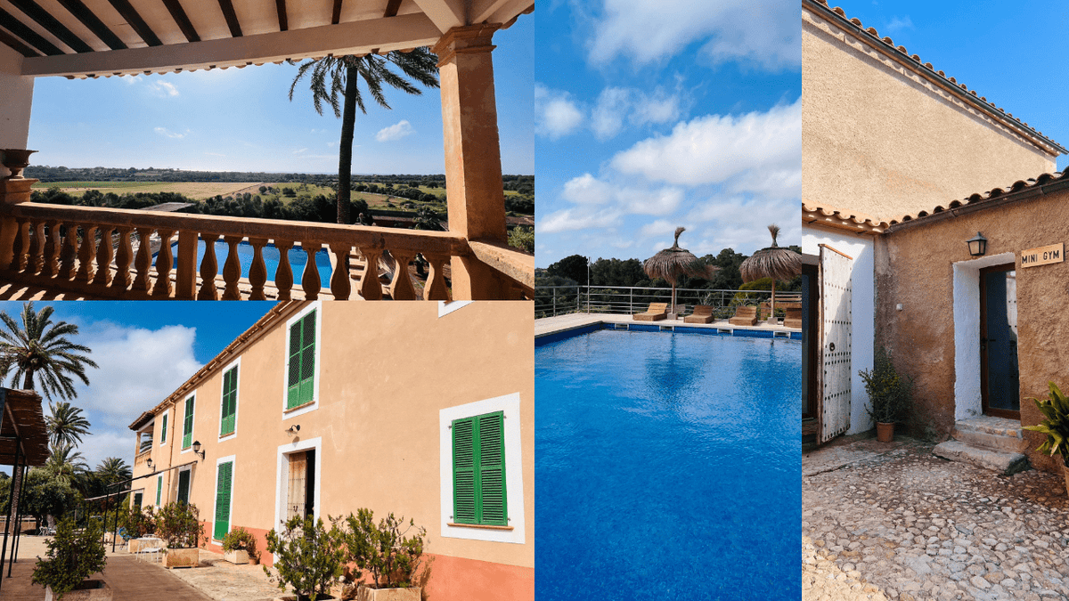 Seminar: Transformation Coach Level 2 - Mallorca 2026 - Mr. Transformation Shop