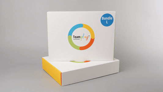 Bundle: TeamPLAY Box L - Mr. Transformation Shop