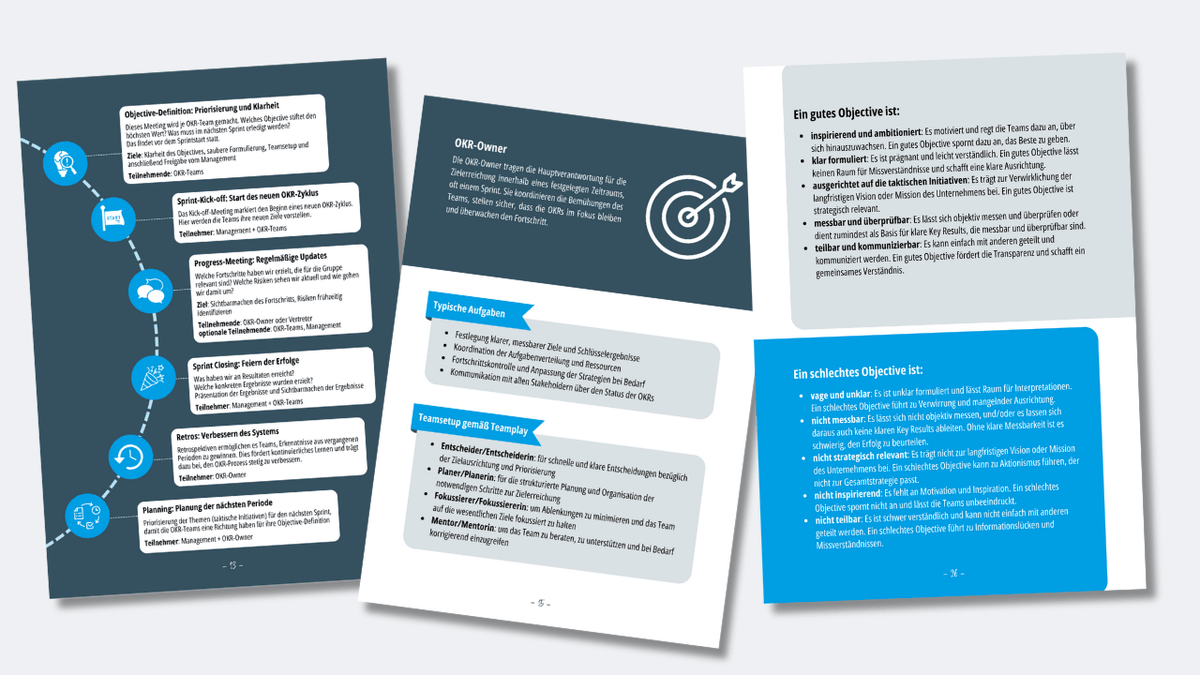 Playbook - OKRs smart einführen - Mr. Transformation Shop