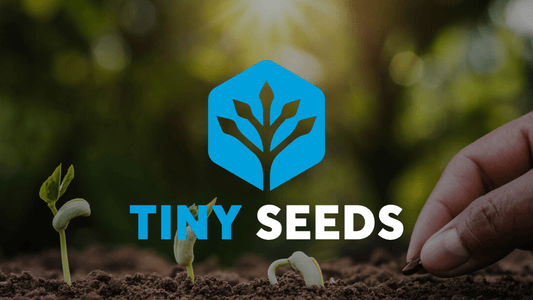 Tiny Seeds - Mr. Transformation Shop